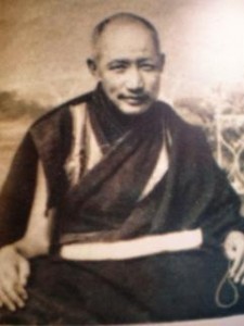 Khedrub Botrul Rinpoche Dongak Tenpe Nyima.jpg