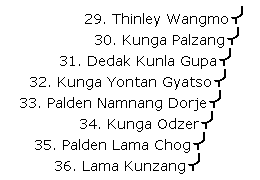 Zhentong-lineage-3.gif