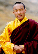 Karmapa Urgyen Trinley Dorje1.jpg
