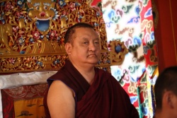 Shamar Rinpoche 2010.jpg