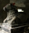 Nandi Stone Sculpture Pataleshwar Pune.JPG