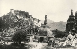 FYH-Tibet2.jpg
