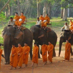 Monks and elephant.jpg