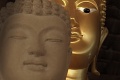 Buddha-Weekly.jpg
