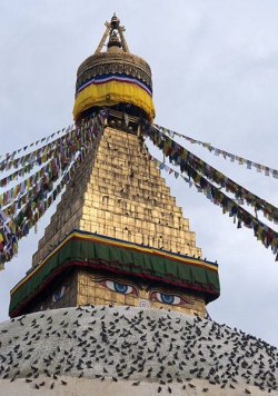 Bodhnath Stupa Kathmandu Nepal.jpg