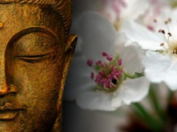 Buddha-zen-flowers thumb.jpg