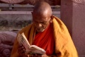 Monk-reads24.jpg