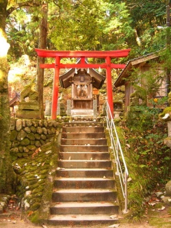 Inari-shrine-2.jpg