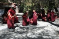 Monks debating, Sera monastery in Tibet, 2013.jpg