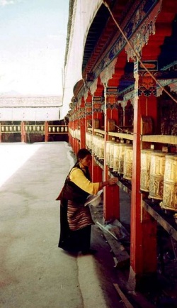 Prayer wheels at Nechung Chok.JPG