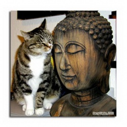 Buddhaluv1.jpg