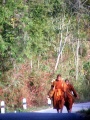 Buddhist pilgrimage.jpg