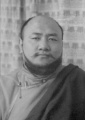 Sixth Dzogchen Ponlop Rinpoche.jpg