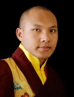 Karmapa 2007 the17 01.jpg