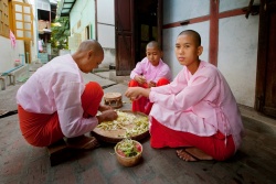 Myanmar-buddhist-nuns.jpg