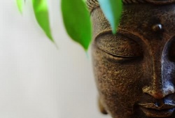 Buddha-face.jpg