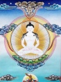 Adi-Buddha-SOLIT.jpg