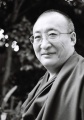Khentrul Rinpoche.jpg
