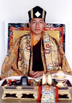 Karmapa 17 Trinley.jpg