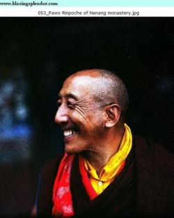 Pawo Rinpoche.jpg