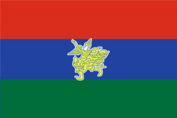 Flag of Kayah State.png