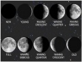 Moon-Phases475h.jpg
