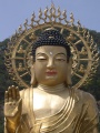 Buddha1147sw.jpg