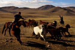 Mongolia.jpg