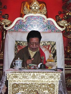 Akong Tulku Rinpoche throne.jpg