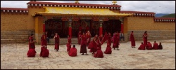Monks debating00.JPG