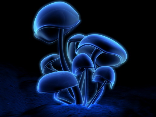 File:3hrrhHD.jpg