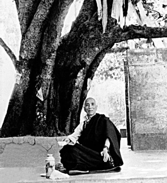 File:JKCL bodhi tree.jpg