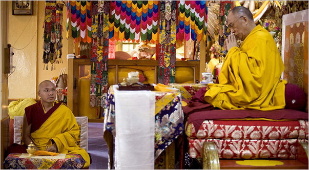 File:07lama.span.600b.jpg