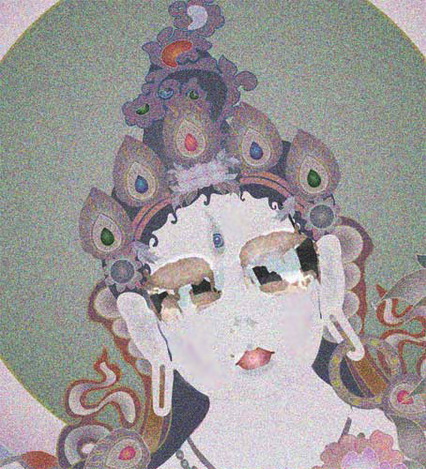 File:White-ara-sunglas.jpg