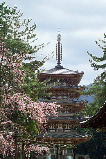 File:400 42.jpg