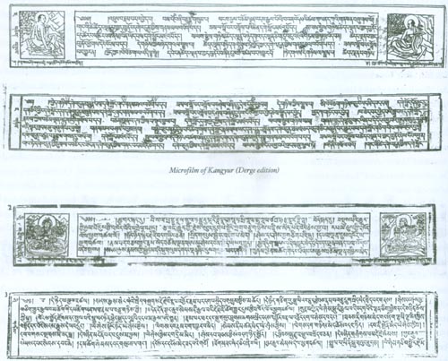 File:21microfilm23.jpg