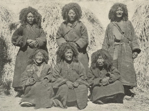 File:Anis'.jpg