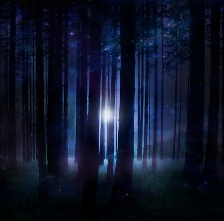 File:Yldraven.jpg