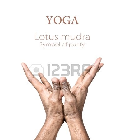 File:Lotus mudra.jpg