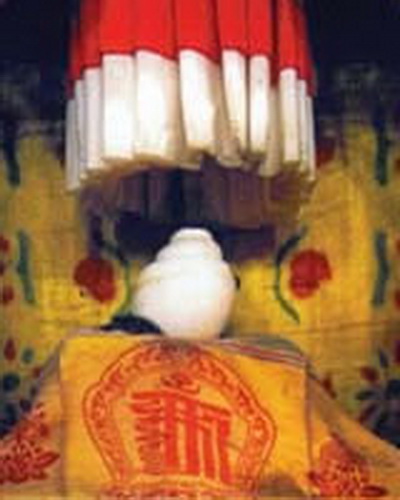 File:Conch shell,4.jpg