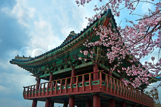 File:222 soms.jpg