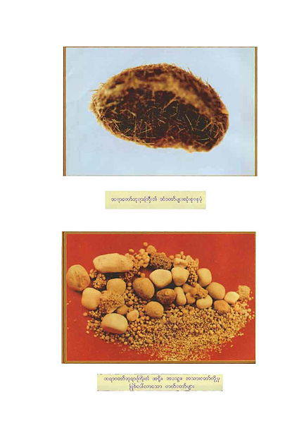 File:MogokSayaDawGyi Relics 2.jpg