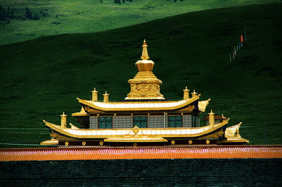 File:2007g2k8dt24P.jpg