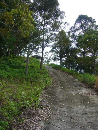 File:18464560.jpg