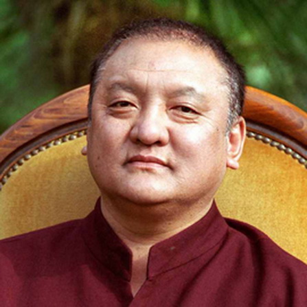File:Shamar Rinpoche445.jpg