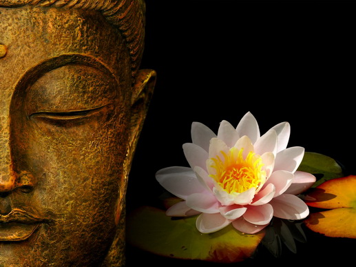 File:Zen3.jpg
