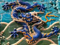 Chinese dragon and phoenix