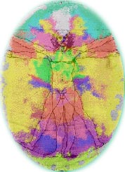 Fig. 19"Vitruvian Man"Computer generated Depiction of Auric Energy Field Intensities.(After Leonardo Da Vinci)