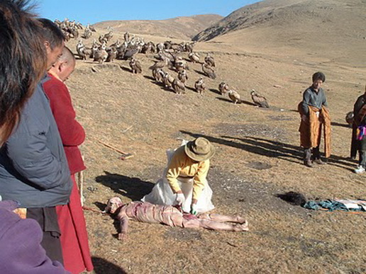 File:Qcx.jpg