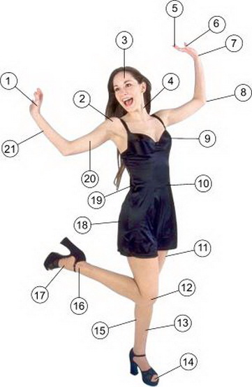 File:Body-parts03.jpg
